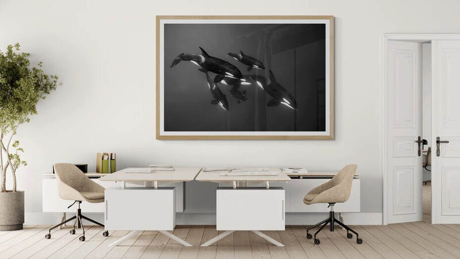 We are Orcas
