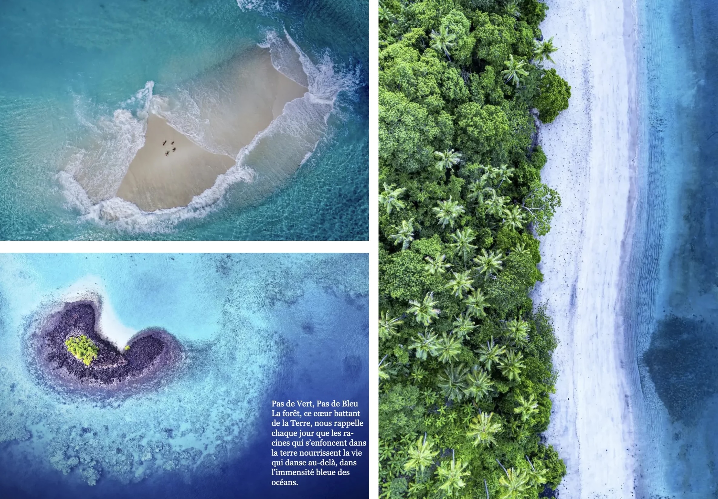 Paysages marins et vues aériennes présentés dans Sound of Silence