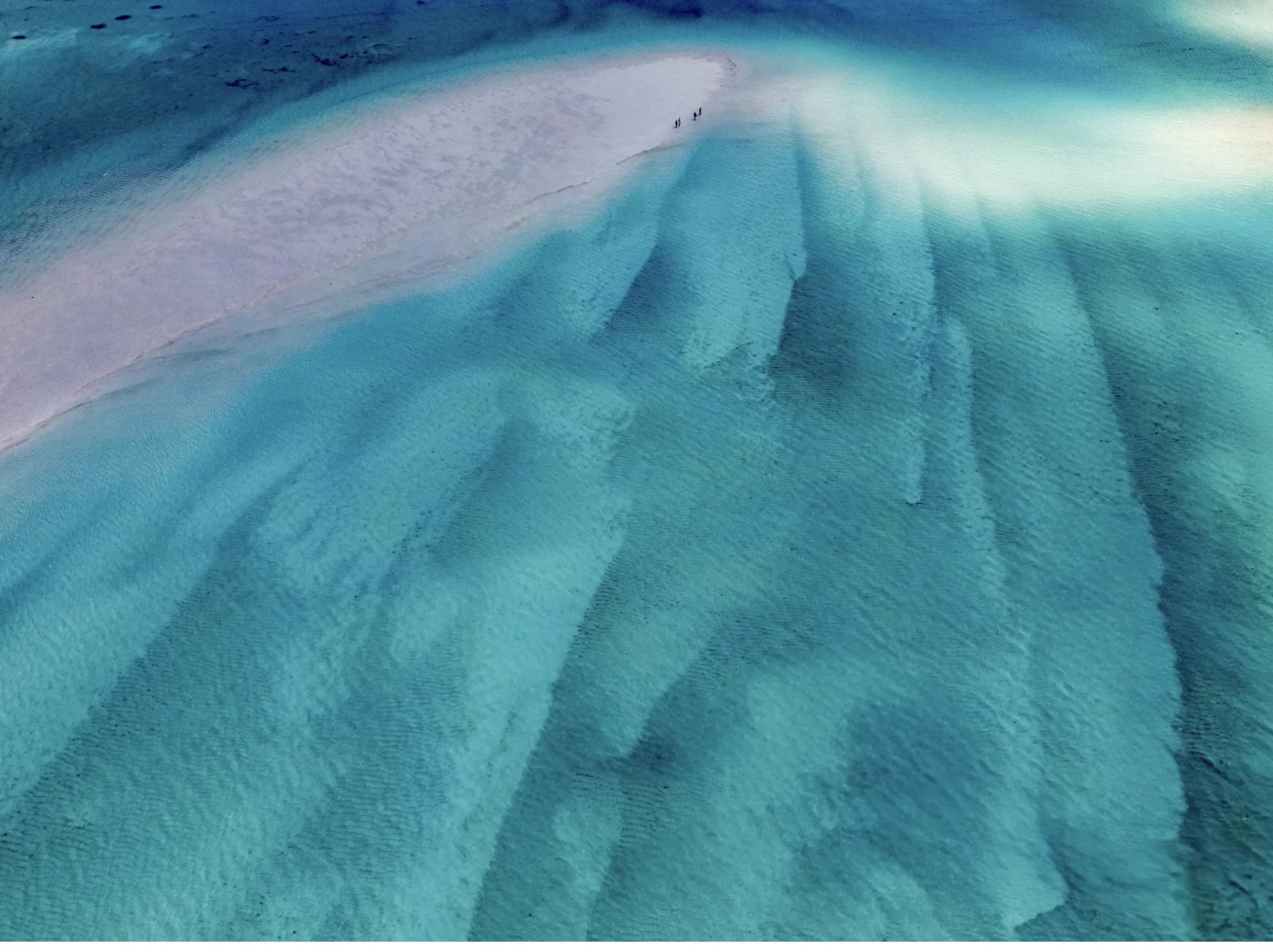 Paysage marin extrait du livre Sound of Silence