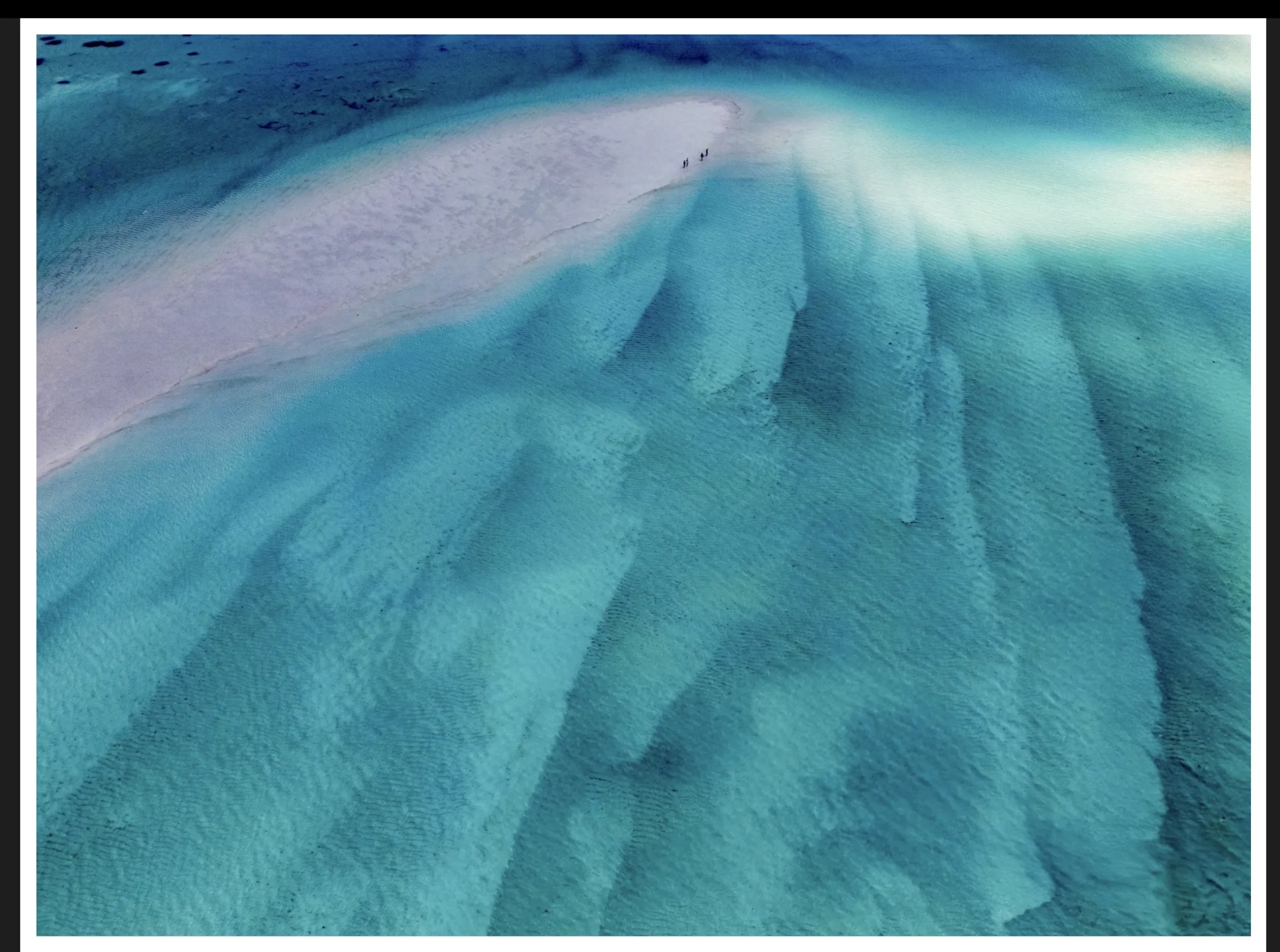 Paysage marin extrait du livre Sound of Silence