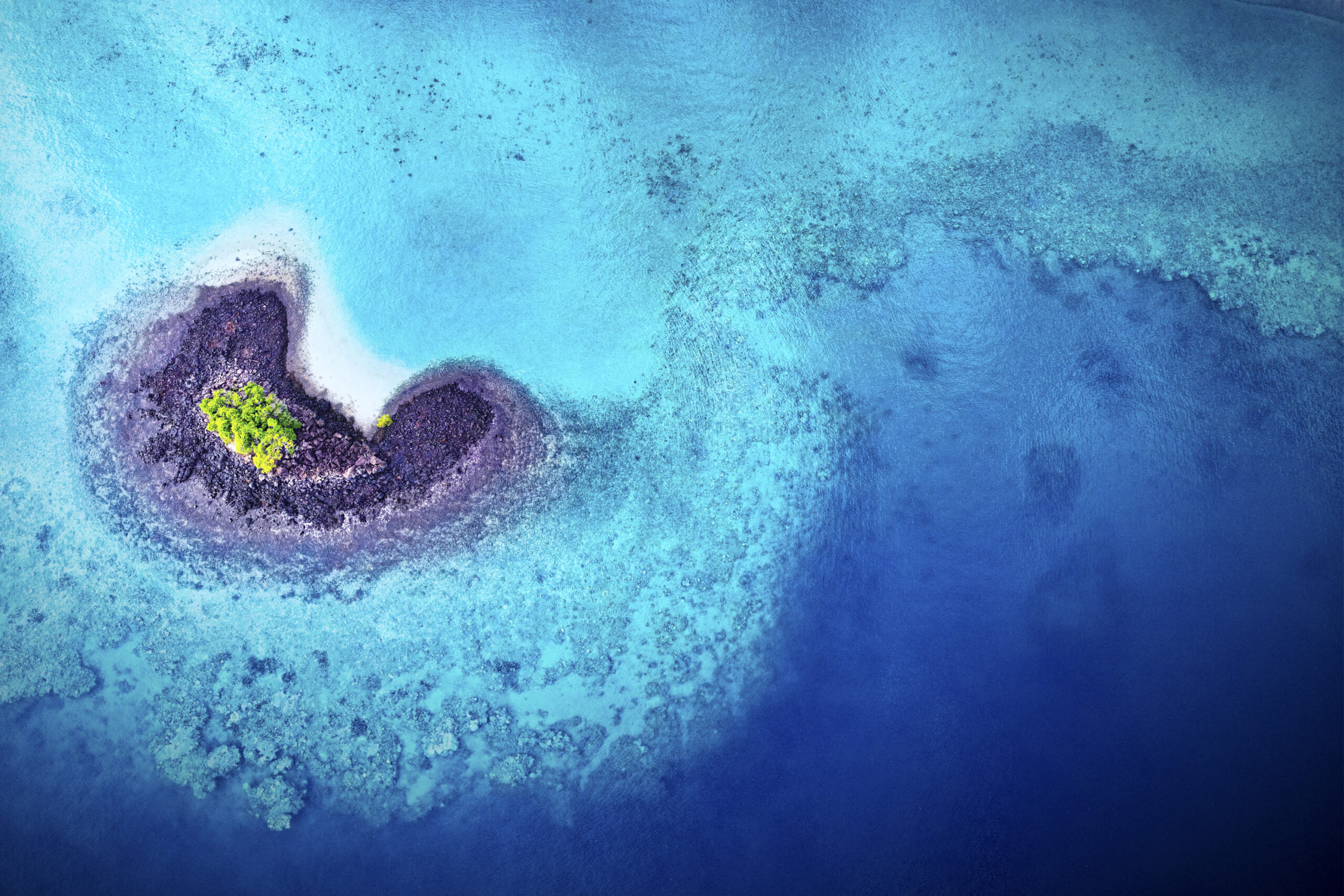 Aerial view of a pale sandbar surrounded by turquoise ocean — Vision of the Sea, Serge Melesan